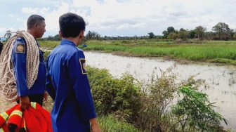 Serang Warga, Waspada Buaya Masih Berkeliaran di Pinggiran Sungai Sekampung Sragi