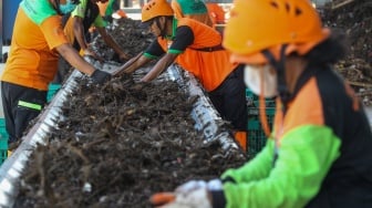 Melihat Proses Pembuatan Pupuk Kompos dari Sampah Kali Ciliwung