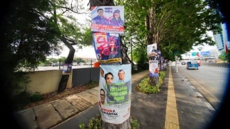 Sejumlah alat peraga kampanye (APK) yang dipaku di pohon dilabeli oleh sekelompok orang dengan cat pilok di Jalan Yos Sudarso, Jakarta Utara, Sabtu (13/1/2024). [Suara.com/Alfian Winanto]