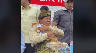 Definisi Cat Lovers, Prabowo Langsung Gendong Kucing Warga saat Kampanye di Batam