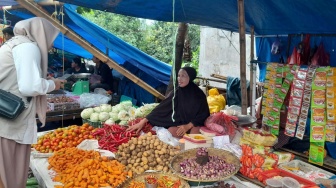 Daeng Rannu Bangkitkan Usaha Sayur Bermodal KUR BRI