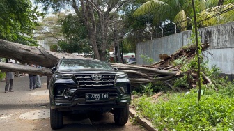 Mobil Toyota Fortuner tertimpa pohon besar tak jauh dari rumah Capres Prabowo Subianto hingga ringsek di Jalan Sriwijaya I, Kebayoran Baru, Jakarta Selatan, Selasa (16/1/2024). [Suara.com/M. Yasir]