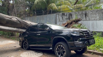 Mobil Toyota Fortuner tertimpa pohon besar tak jauh dari rumah Capres Prabowo Subianto hingga ringsek di Jalan Sriwijaya I, Kebayoran Baru, Jakarta Selatan, Selasa (16/1/2024). [Suara.com/M. Yasir]