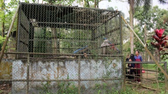 Medan Zoo Sepi Pengunjung, Hanya 50 Orang yang Datang