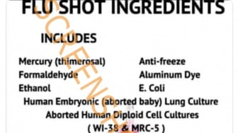 HOAKS, Vaksin Influenza Mengandung Bahan yang Berbahaya