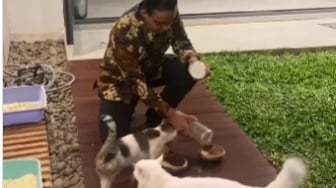 Gak Kalah dari Prabowo, Ini Bukti Anies Baswedan Lebih Cat Lovers