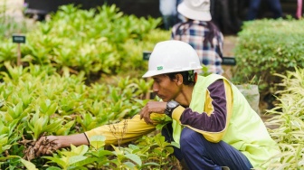 Strategi LPKR Terapkan Konsep Eco Living