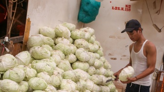 Pedagang beraktivitas di Pasar Induk Kramat Jati, Jakarta, Kamis (18/1/2024). [Suara.com/Alfian Winanto]