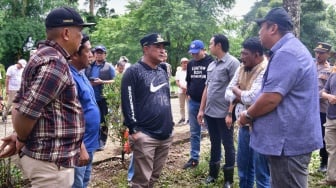 Mahasiswa Unsulbar Ikut Tanam Sukun di Kawasan Pengembangan Peternakan Pucak Maros