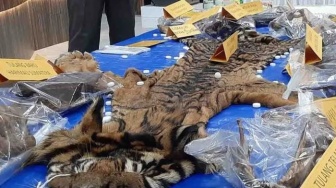 Oknum PNS Aceh Timur Ditangkap, Diduga Terlibat Penjualan Kulit Harimau