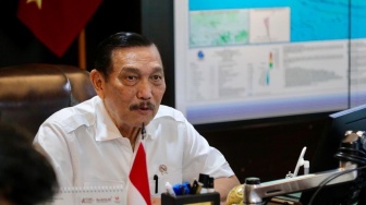 Pemerintah China Bakal Garap Sawah di Kalimantan Tengah, Luhut: Mereka Sangat Sukses!