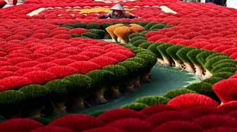 Seorang pekerja menyiapkan dupa di halaman desa Quang Phu Cau, Hanoi, Vietnam, Sabtu (20/1/2024). [Nhac NGUYEN / AFP] 