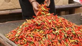 Harga Cabai di Daerah Tembus Rp100 Ribu, Beras Premium Mulai Turun