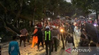 Waspada Cuaca Buruk! Kabel Listrik di IPB Baranangsiang Bogor Putus Tertimpa Pohon Tumbang