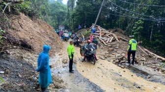 Sempat Lumpuh, Arus Lalu Lintas Liwa-Krui Sudah Normal