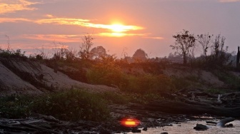 Deretan Cagar Alam Unik di Kalimantan Timur yang Berisi Flora dan Fauna Langka