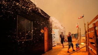 Seorang pria memadamkan kebakaran hutan yang melanda perbukitan di komune Quilpe, wilayah Valparaiso, Chili, Sabtu (3/2/2024). [Javier TORRES / AFP]