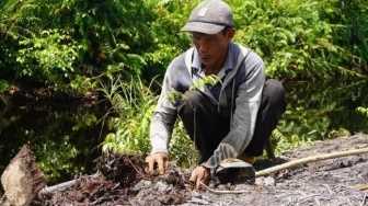 2.376 Bibit Pohon Ditanam di Hutan Desa Rantau Panjang