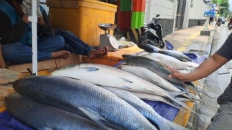 Bisa Cuan Jutaan Saat Imlek, Pedagang Ikan Bandeng Menjamur Di Trotoar Sarkem Rawa Belong