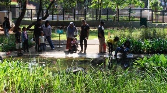 Warga saat berwisata di Tebet Eco Park, Jakarta Selatan, Kamis (8/2/2024). [Suara.com/Alfian Winanto]