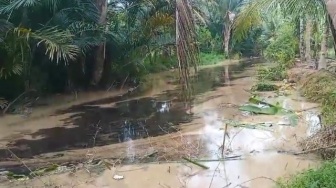 Sungai Cijoro Rangkasbitung Tercemar Limbah Oli, Diduga Dibuang Oknum Tak Bertanggung Jawab