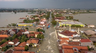 Jokowi Tanggapi Gagal Panen Akibat Banjir Demak Ancam Produksi Beras