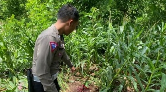 Tanpa Helm, Ibu Hamil dan Penumpangnya Tewas dalam Kecelakaan di Nusa Penida