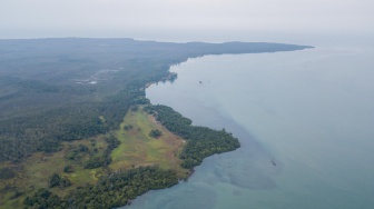 Pulau Gelam Ditambang, Penyu Ikut Terancam Menghilang