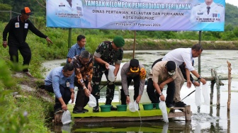 Pj Gubernur Sulsel Tebar Benih Udang Vaname dan Tanam Pisang Cavendish di Kota Parepare