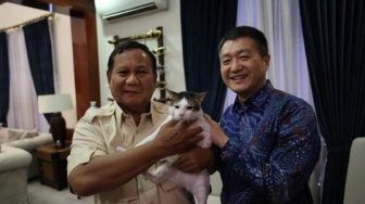 6 Fakta Unik Bobby Kucing Prabowo Subianto yang Baru Saja Foto Bareng Dubes China, Suka Diskusi hingga Mogok Makan