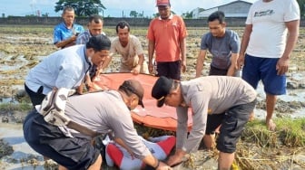 Sragen Geger! Kakek Ditemukan Meninggal di Sawah Sambungmacan dengan Posisi Sujud