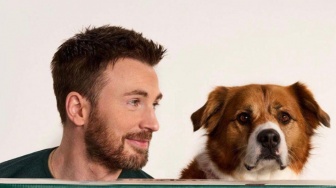 4 Rekomendasi Film yang Dibintangi Chris Evans, Ada Action Hingga Romance