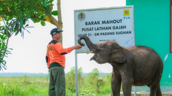 PLN Indonesia Power Dukung Prasarana Patroli Untuk Pelestarian Gajah Sumatra