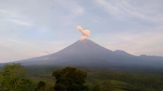 Awan Panas Merapi Meluncur 1 Km, Guguran Lava Capai 271 Kali Sepekan