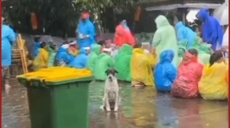 Anjing di Pura Lempuyang Ini Rela Kehujanan Demi Temani Pemedek yang Sembahyang