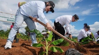 BRI dan Himbara Kompak Kucurkan KUR, Geliatkan Ekonomi Kerakyatan di Sulbar