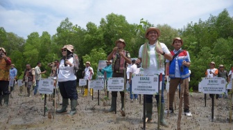 Pertamina Rehabilitasi Mangrove di Nusa Tenggara Timur