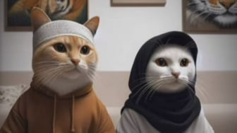 20 PP Kucing Ramadhan 2024, Pakai Peci Sampai Hijab, Cara Pecinta Anabul Semarakkan Ramadhan