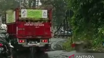 Hujan Deras dan Angin Kencang, Pohon Tumbang di Cipanas Lumpuhkan Jalur Utama Puncak