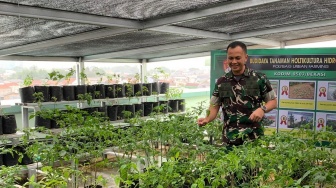 Jaga Ketahanan Pangan, Kodim 0507/Bekasi Sulap Rooftop Jadi Urban Farming