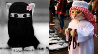 25 Foto PP Kucing Ramadhan 2024 Lucu: Cosplay Pak Ustaz hingga Berhijab