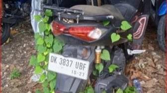 Ditinggal Setahun di Parkiran Canggu, Ban Motor Ban Motor Ini Sampai Tumbuh Tanaman