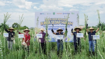 Pupuk Kaltim Gelar Panen Raya Sedap Malam Perdana di Rembang