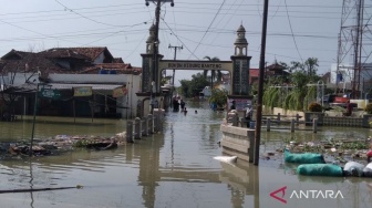 Kelegaan Warga Demak Usai Banjir: Alhamdulillah Surut, Kami Bisa Pulang ke Rumah