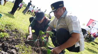 50 Ribu Bibit Akan Dibagikan Saat Peluncuran Program Sedekah Pohon di Bone