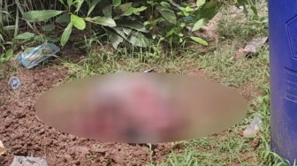 Heboh Penemuan Mayat Bayi di Dekat Rumah Warga Kayong Utara