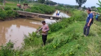 Bengawan Solo Menelan Korban, Seorang Wanita Tenggelam Saat Mandikan Kambing