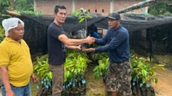 Cegah Longsor! Dinas Lingkungan Hidup Sulawesi Barat Tanam Seribu Pohon Durian