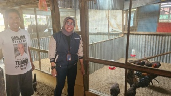 Program BRI Buat Peternakan Ayam di Surabaya Ini Jadi Lebih Berkembang