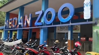 Penutupan Medan Zoo Ditunda Sampai Usai Lebaran